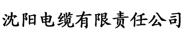 中文字幕乱码亚洲精品一区电缆厂logo